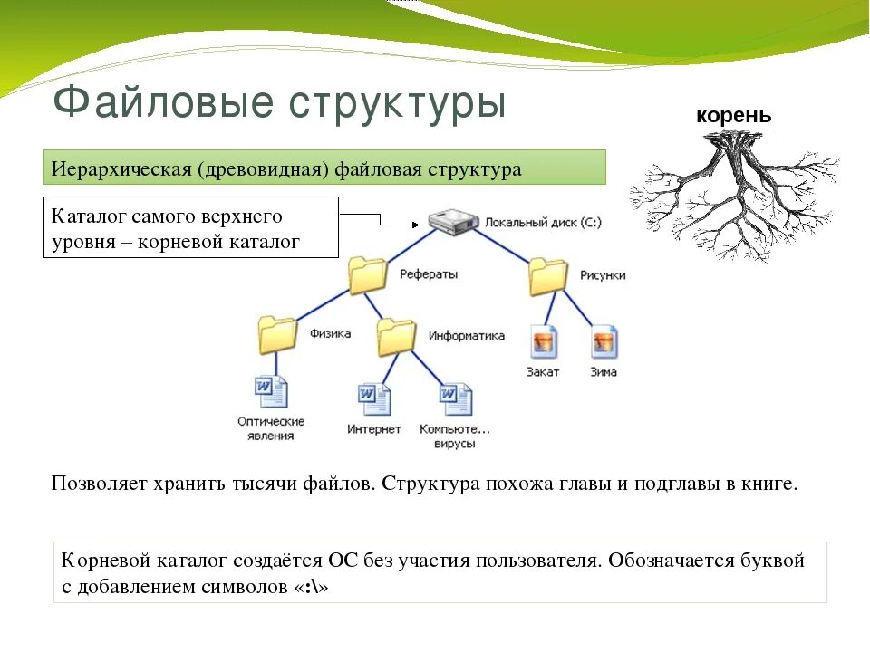 Файловая система иерархическая структура файловой системы. Древовидная структура файловой системы. Древовидная иерархическая структура. Древовидная структура папок структура.