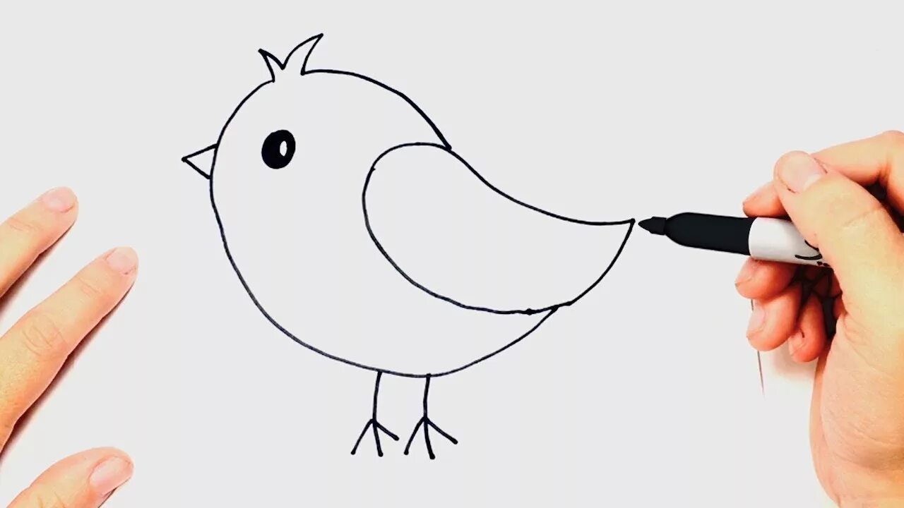 Птичка рисунок. Несложная птичка. Рисование птиц. Легкое рисование птиц.