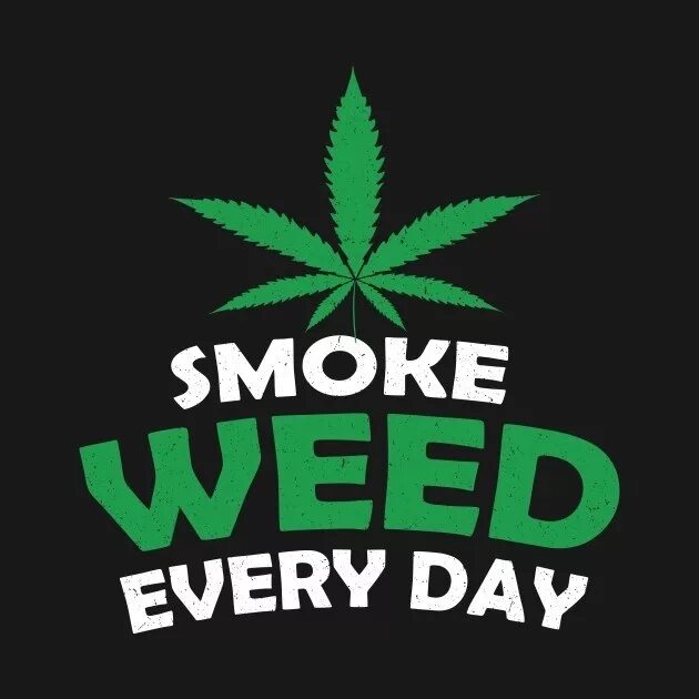 Smoke Weed. Смок эври Дэй. Smoke Weed every Day. Снуп дог Smoke Weed everyday. Смок вид