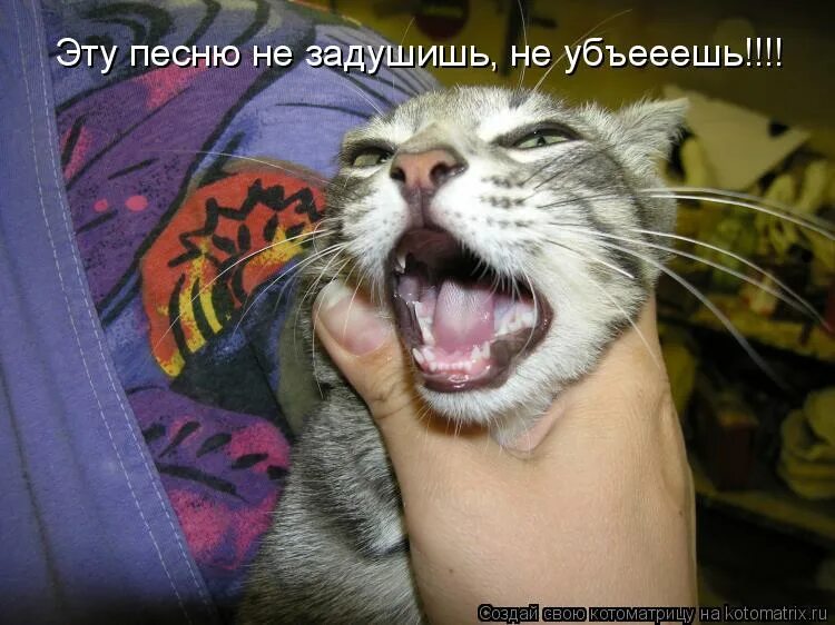 Эту песню не задушишь не убьешь тип. Эту песню не задушишь не убьешь тип. Ты должна убивает эта фраза то что я должна записано в. Эту песню не задушишь не убьешь тип. Эту песню не задушишь не убьешь тип.