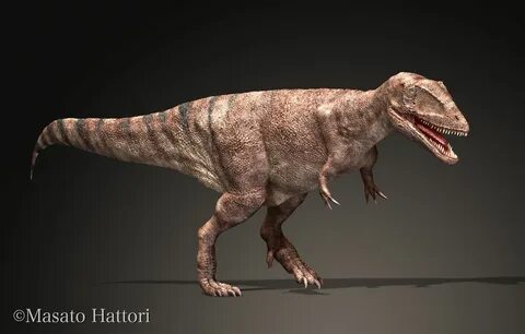 Carcharodontosaurus_20140906.jpg 古 代 生 物, 恐 竜, 古 代