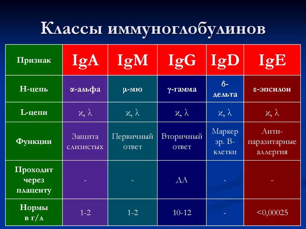 Функции классов иммуноглобулинов. Иммуноглобулин классификация и функции. Иммуноглобулины человека классификация. Классификация иммуноглобулинов. Характеристика пятерки