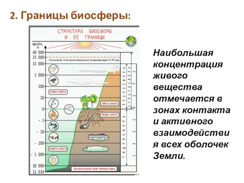 Какие факторы ограничивают распространение жизни в атмосфере. Биосфера строение биосферы. Границы биосферы 5 класс биология. Строение биосферы земли. Рис 103 границы биосферы.