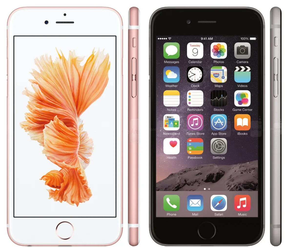 Сколько стоит 6 лет. Iphone 6s 64gb. Apple iphone 6s 16gb. Айфон 6s 64 ГБ. Iphone 6 64gb.