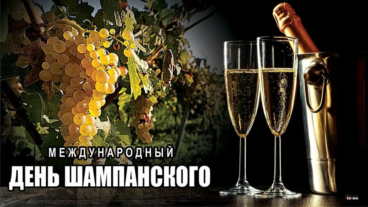 День шампанского фото