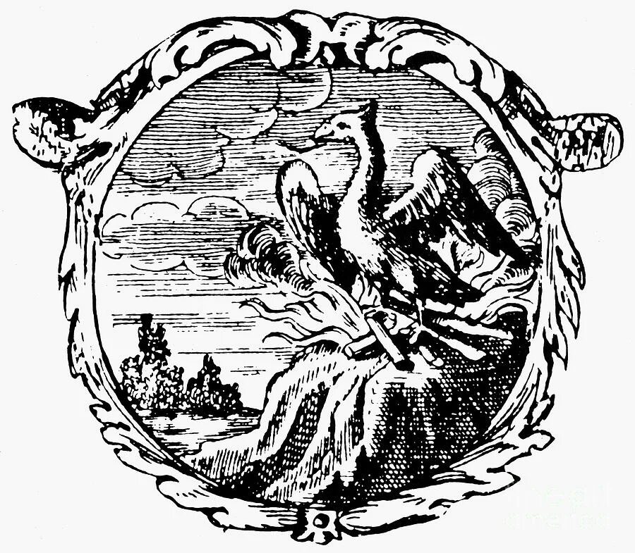 Символ воскресения. Феникс символ воскрешения boschius symbolographia 1702. феникс христианский символ. раннехристианские символы феникс. птица феникс символ христианства.