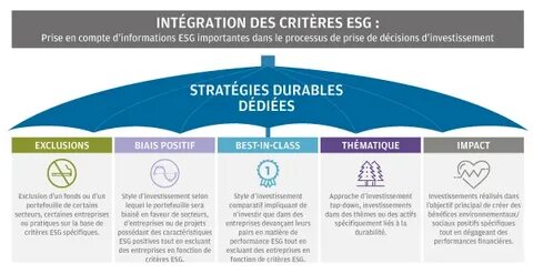 Esg стратегии компании