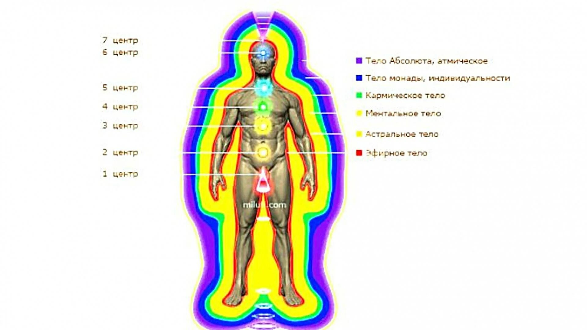 Эфирный это. Астральное тело человека астральное тело человека. Физическое эфирное астральное ментальное тело. Тонкие тела человека. Тонкие энергетические поля человека.