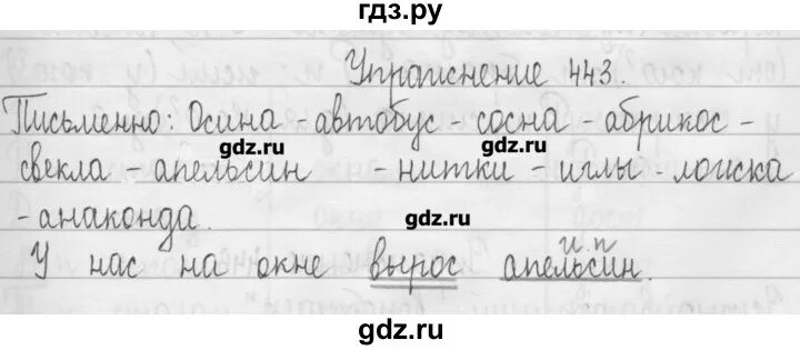 Русский язык 7 класс упражнение 443. Домашнее задание по русскому языку упражнение 443.