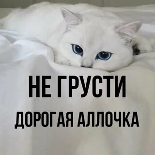 Не грусти дорогая