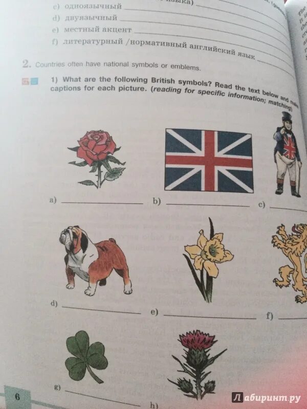 Книга для чтения 8 класс кузовлев. What are the following British symbols. Countries often have National symbols or Emblems what are the following British symbols гдз.