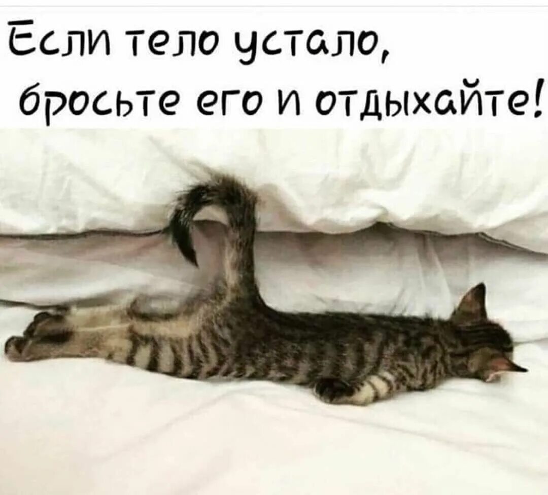 Отдохни за меня что это. Хорошо поспать и отдохнуть. ты устала отдохни. хорошо выспаться и отдохнуть. поспи отдохни.