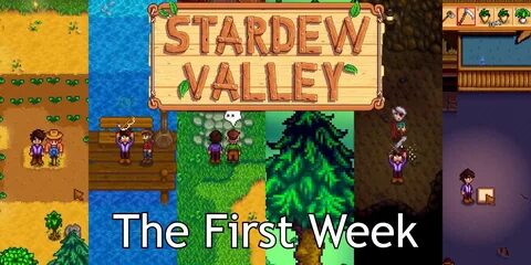 Где живет робин в stardew valley