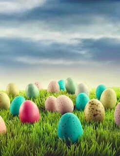 Easter eggs на сегодня