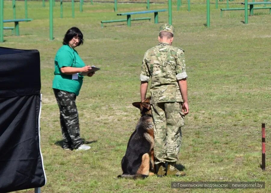 Кинолог. Кинолог узбекистан. Кинологи беларусь. Кинологи беларусь. Кинологи в белоруссии.