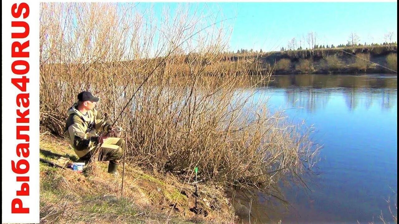 Калуга река Угра рыбалка. Юхнов Угра рыбалка. Река Угра Калужская область рыбалка. Фидер на Угре. Клев в калужской