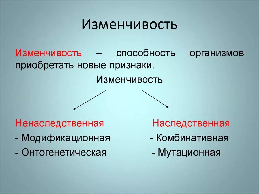 Изменчивость определение