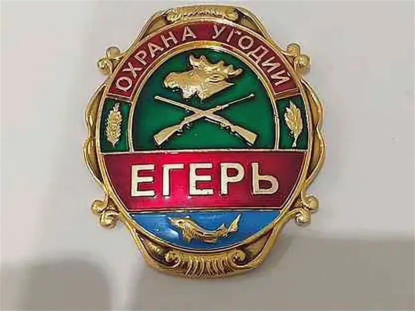 Охрана угодий. Охрана угодий. Охотнадзор 48. Нагрудный знак егеря. Охрана угодий.