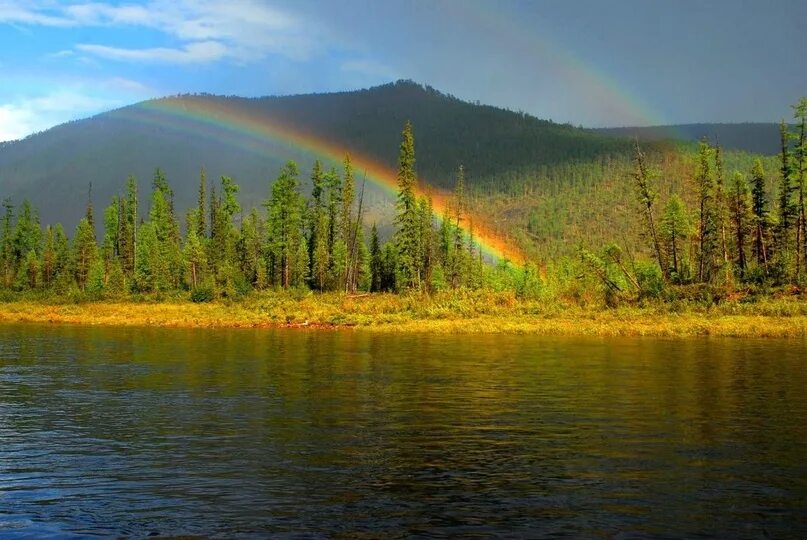 Саха лист. Природа якутии нерюнгри. тайга саха якутия. река гыным якутия. сибирь южная якутия.