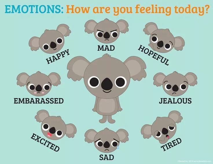 How are you feeling scale