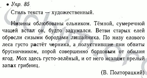 Русский язык решебник шестой класс. Низины облюбованы ельником. Русский 6 класс номер 85. Полторацкий низины облюбованы ельником. Русский язык 6 класс добрый