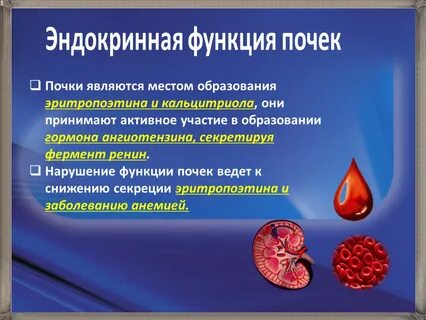 Почечные ферменты