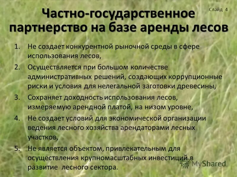 Освоение охрана лесов. Основные проблемы лесопользования. Заготовка леса. Защита леса. Добыча древесины.