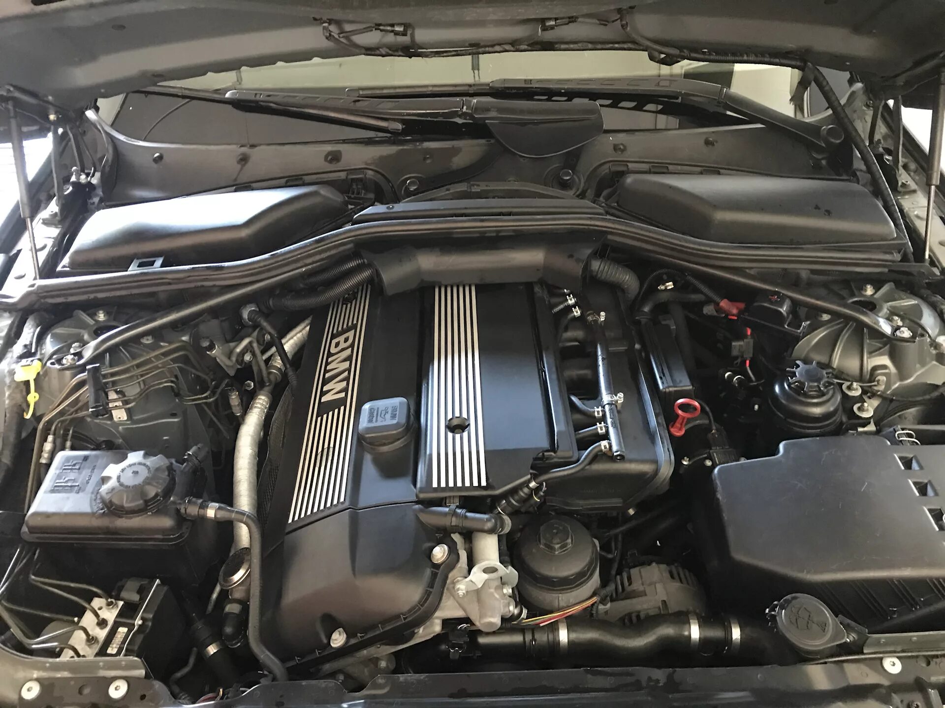 Bmw e60 мотор. Бмв е 60 мотор. Бмв м5 е60 двигатель v10. Bmw e60 n52 двигатель. 0 дизель.