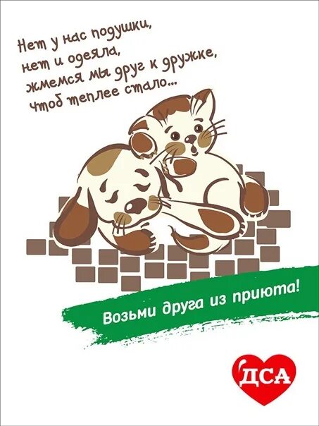 Забери друга из приюта. Забери друга домой. Возьмите друга из приюта. Социальная реклама великий новгород. Возьми друга из приюта.