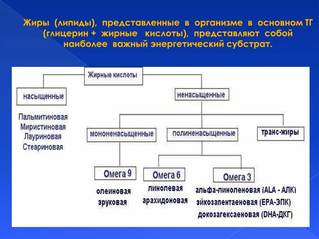 Основные липиды пищи. Классификация липидов схема. Классификация жиров и липидов. Липиды классификация липидов. Сложные липиды классификация.