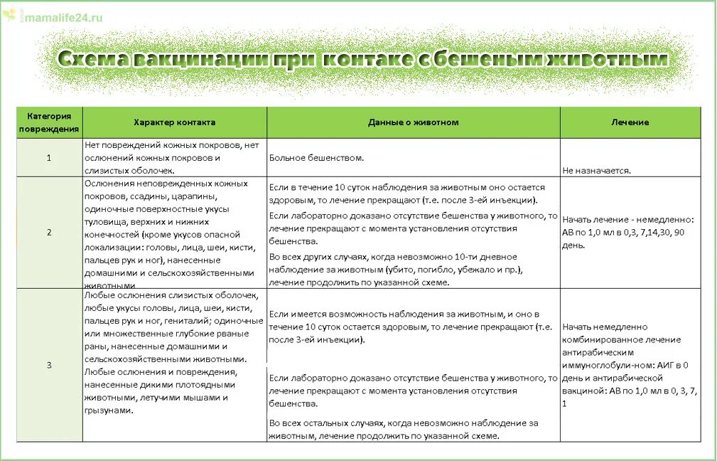 Прививка от бешенства сколько нельзя пить. Антирабическая вакцина схема вакцинации. Бешенство вакцинация схема. Схема вакцинации против бешенства. Прививка против бешенства схема.