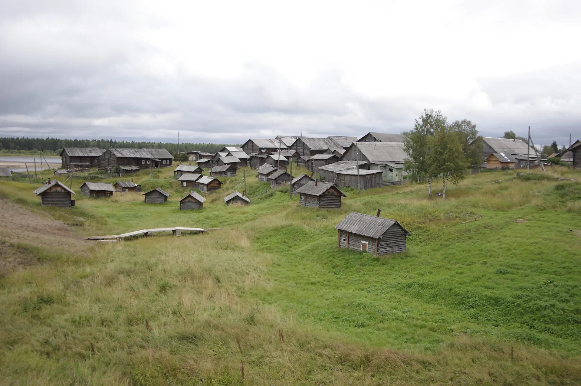 Норвежский сайт мезень. Село Койнас Архангельской области. Село Палащелье у реки Мезень. Усть-Кыма Лешуконский район. Палащелье Архангельская область.