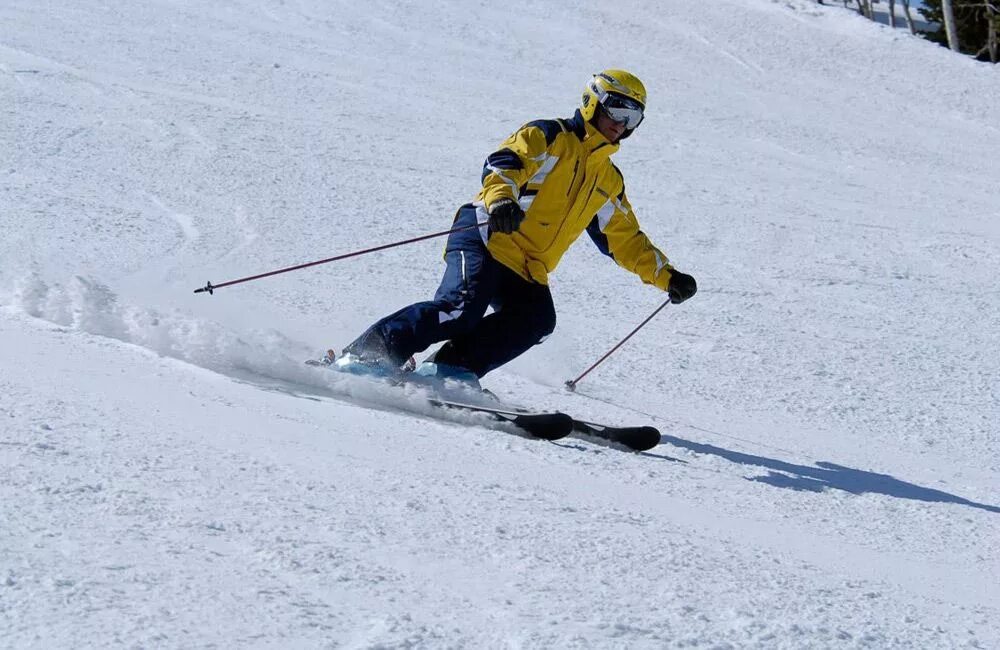 Правильный лыжник. Техника катания на горных лыжах. Карвинговый поворот на горных лыжах. Правильная техника на горных лыжах. Стойка для горных лыж.