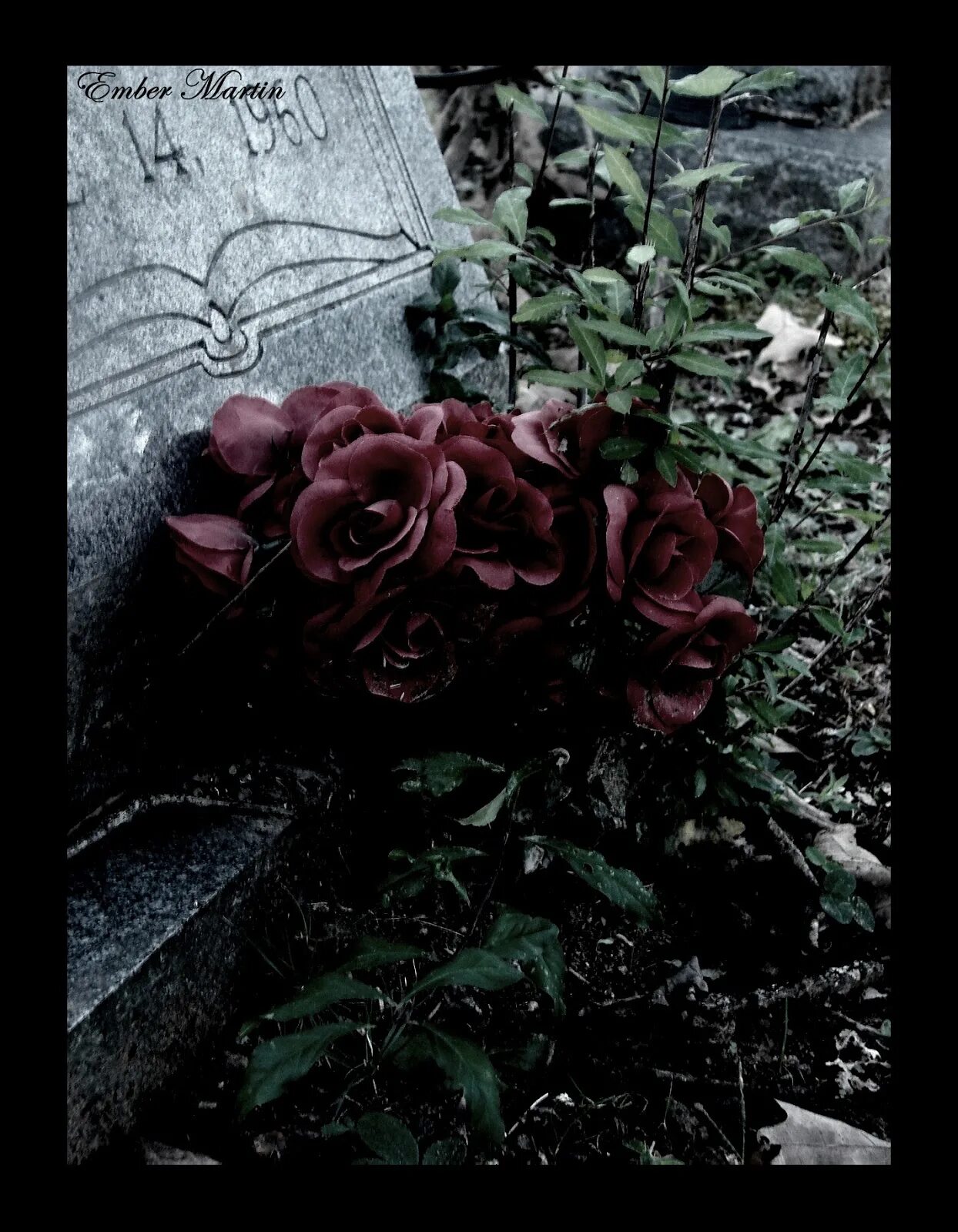 цветы на могиле любимой. эстетика розы на могиле. розы на могиле. цветы на могилу.