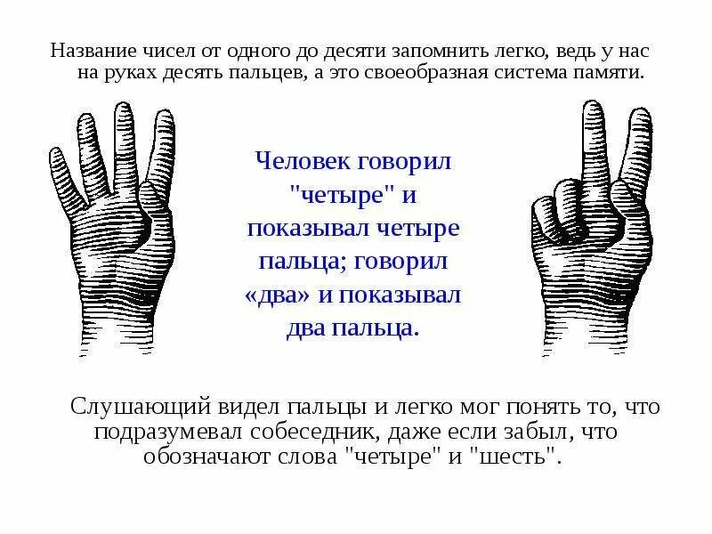 Название пальцев. Название пальцев для детей. Название 5 пальцев на руке. Учим названия пальцев руки.