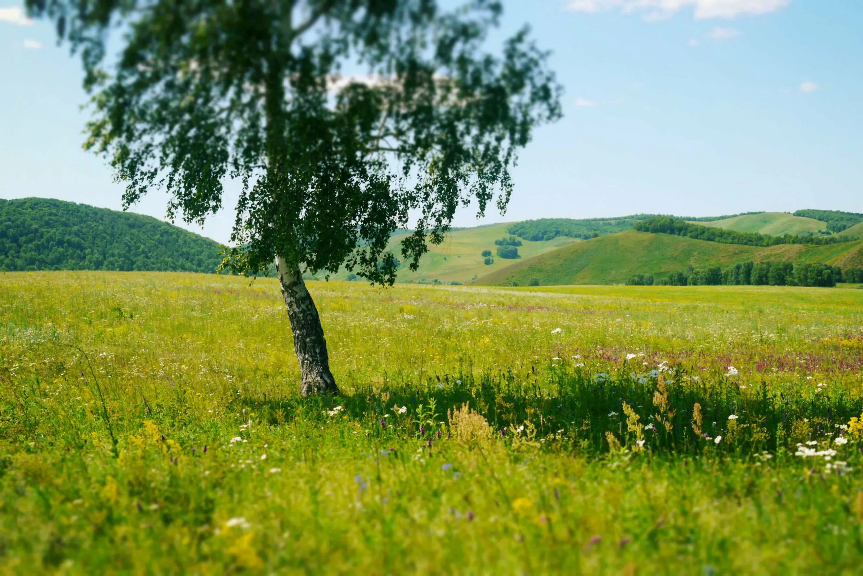 Башкирский край