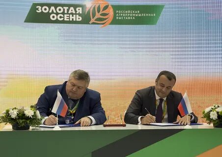 Сайты зерновых компаний