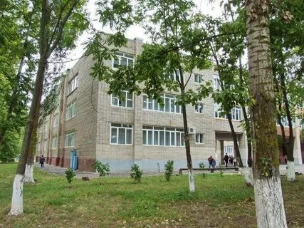 Волгодонск школы города