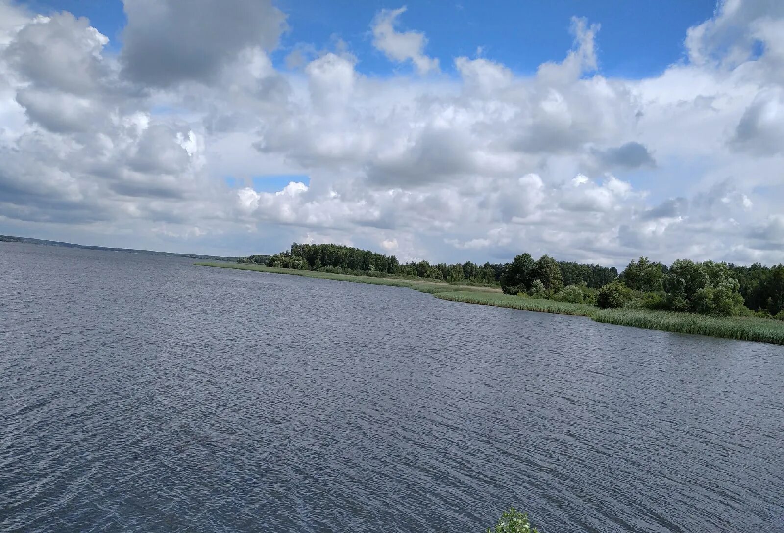 Копенки Железногорский район водохранилище. Тартатское водохранилище Подгорный. Копенское водохранилище Курской области. Железногорское водохранилище Курской области.