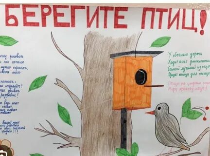Листовка берегите птиц