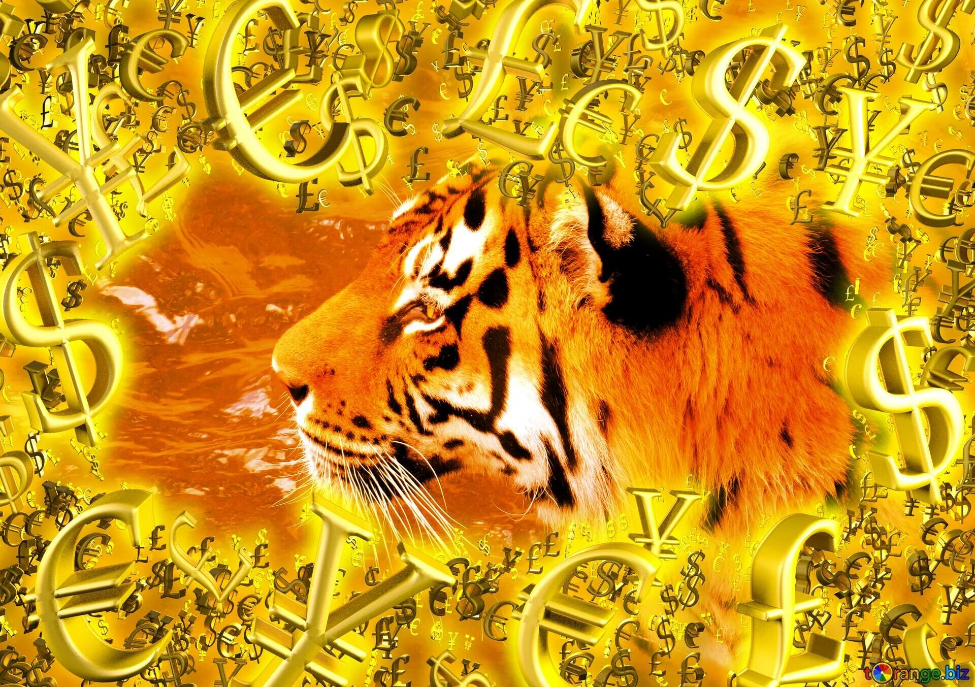 Тигр обои. Тигр на золотом фоне. Фон для рабочего стола тигр. Огненный тигр.