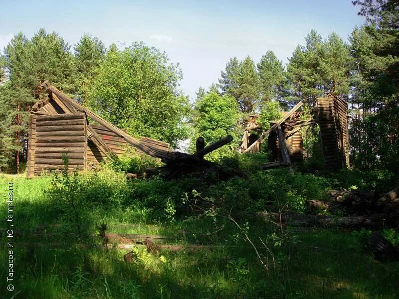 молога череповец харламовское. харламовская череповецкий район где растет лаванда. погода харламовская череповецкого. харламовское вологодская область на карте. деревня харламовское череповецкий район фото лагерь.