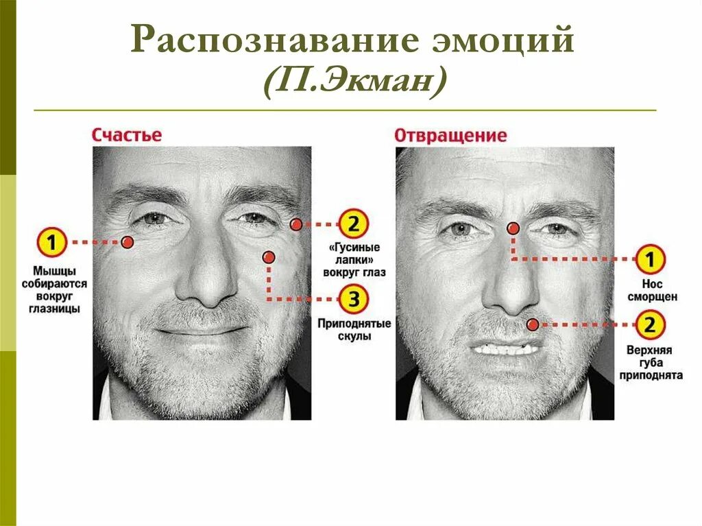 Как определить чувства человека. Пол Экман теория лжи. Базовые эмоции человека пол Экман. Атлас эмоций пол Экман. Пол Экман мимика лица.