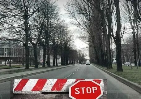 Калининград на две недели