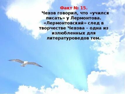 Что сказали чехи