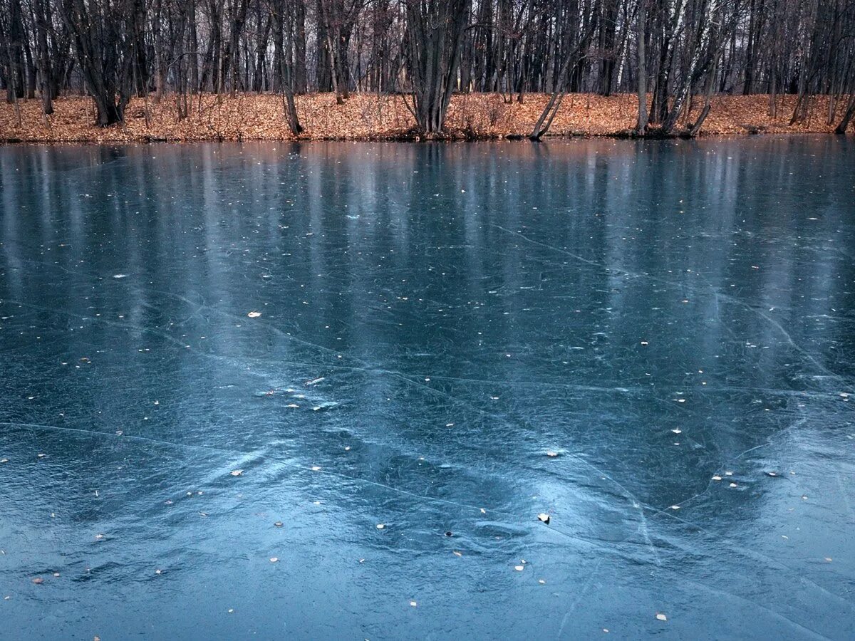 Замерзший водоем. Озеро покрытое льдом. Лед на реке. Речка покрытая льдом. Вода в реке замерзла