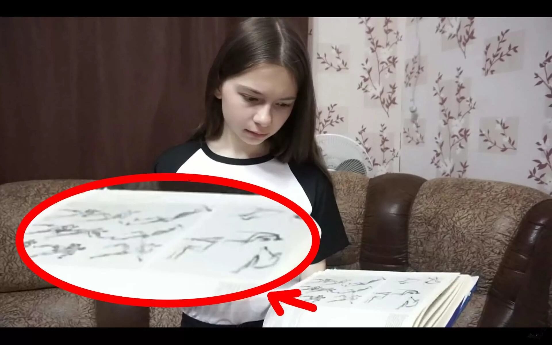 баку пожиратель снов непета. непета страшилки баку пожиратель снов. непетастрашилкибакупожирательснов. баку дух непета страшилки. непета страшилки сны.