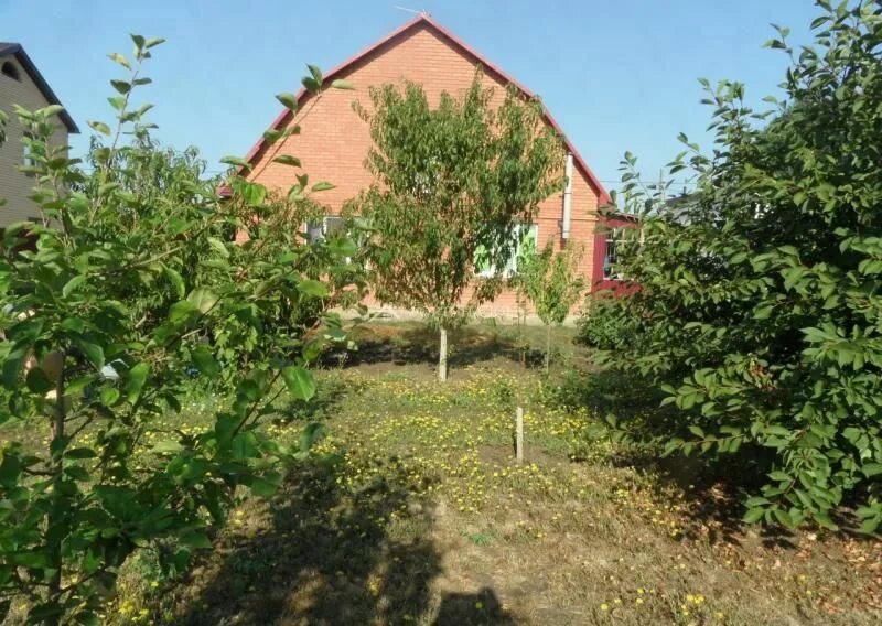 Поселок виноградный краснодарский край. Поселок виноградный краснодарский край. Поселок виноградный краснодарский край. Поселок виноградный анапа. Поселок виноградный краснодарский край.