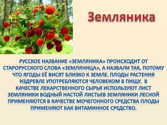 Окончание слова ягода. Информация о землянике. Сообщение о землянике. Краткая информация о клубнике. Рассказ про землянику.