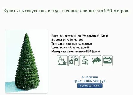 Высота елочки весной была 7 дм какой